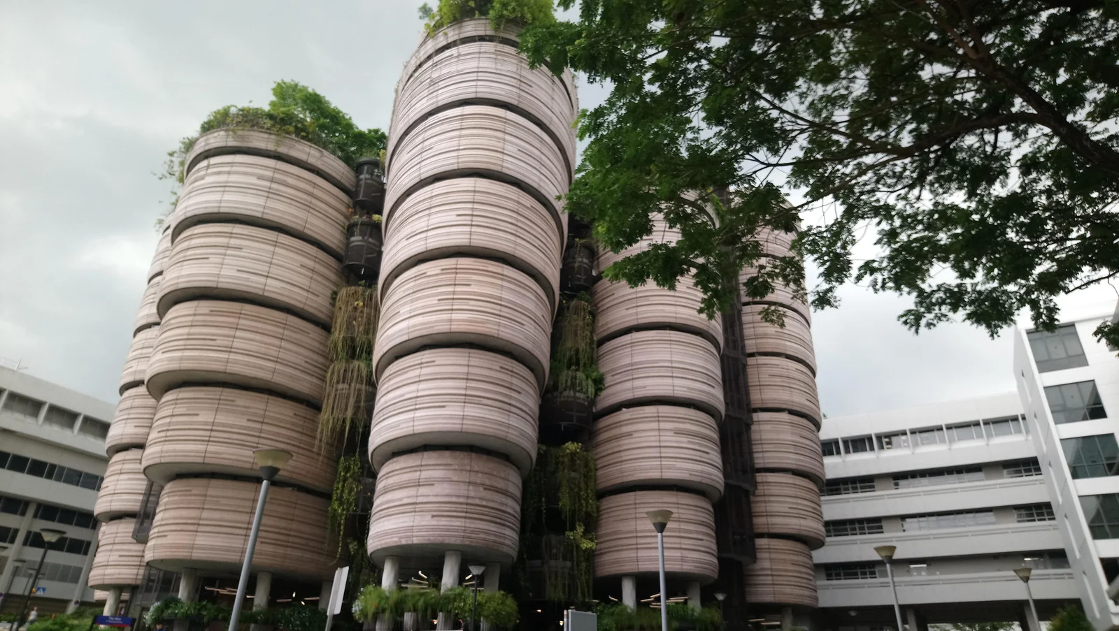 世界一流學科排名，新加坡南洋理工大學人工智能全球第一